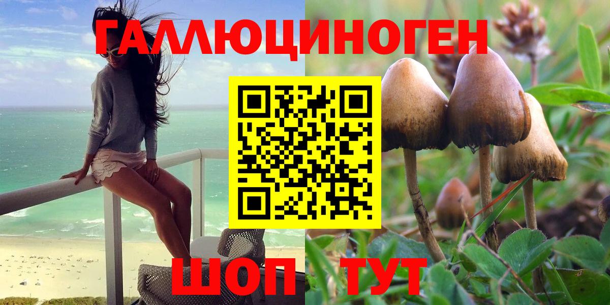 Галлюциногенные грибы ЛСД  Псилоцибиновые грибы Psilocybe  Вход с VPN  Дербент 